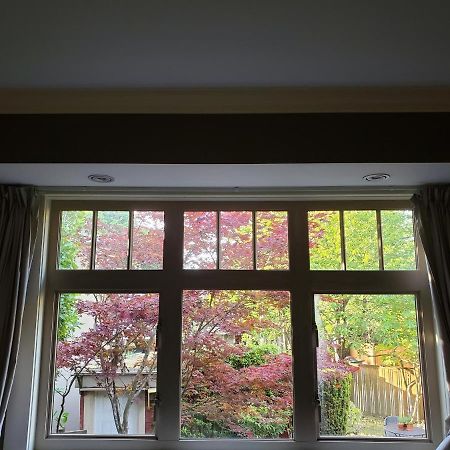 Elegant, Sunny Modern Home With Skylights - Kitsilano, Vancouver Buitenkant foto